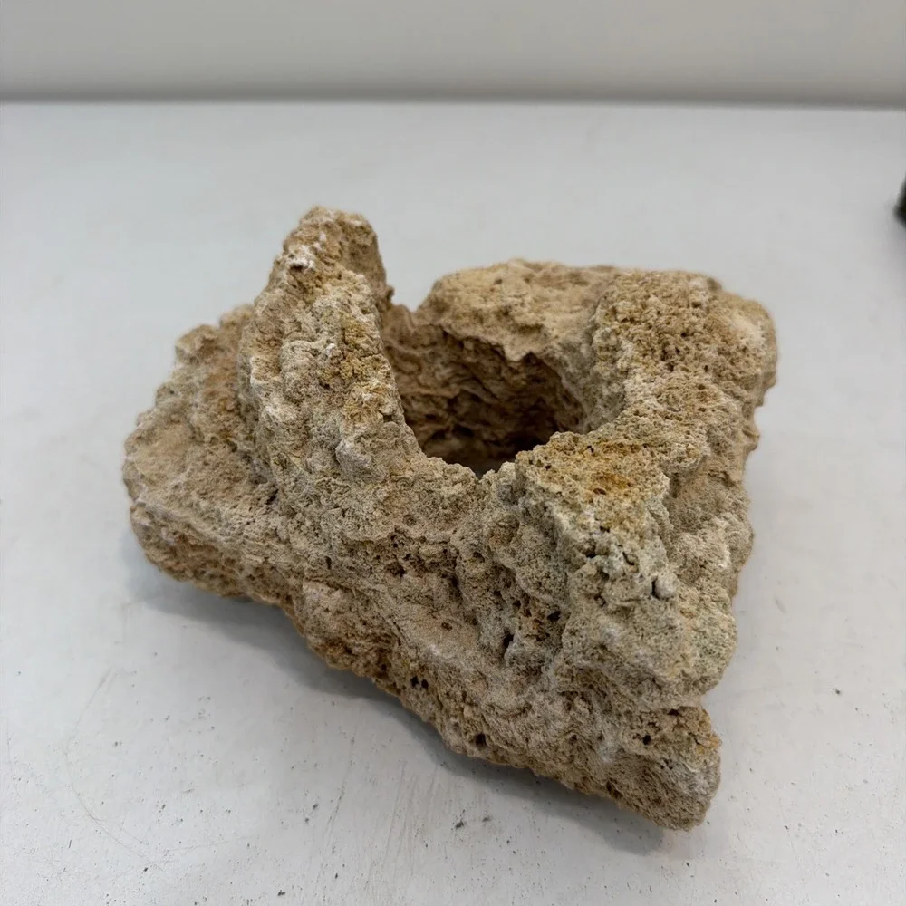 CORAL 8